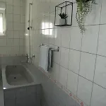 Apartament Delac *