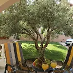 Apartament Delac *