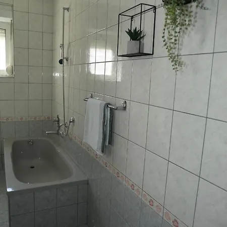 Apartment Delac *