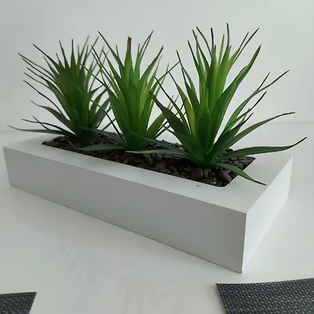 Delac Apartment