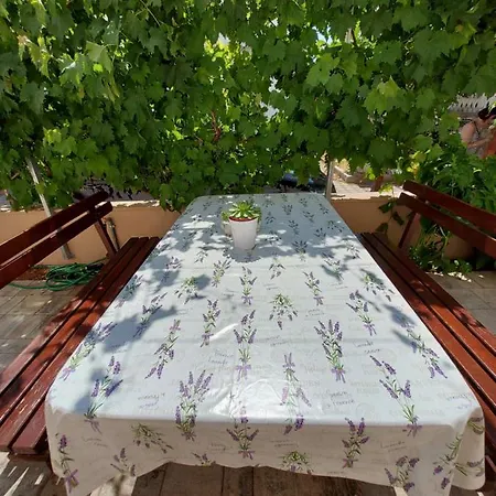 Delac וודיצה