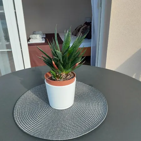 Apartment Delac